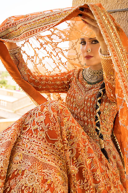 Jahanara by EK Erum Khan Soft Net Crafted with Silk Trouser and Organza Dupatta